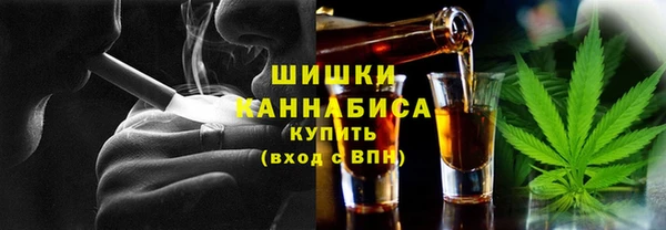 прущие грибы Баксан