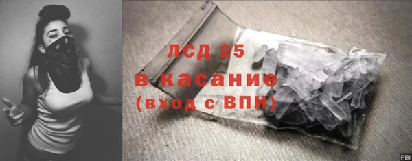 хмурый Белокуриха