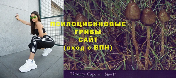 Альфа ПВП Балабаново