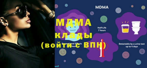 прущие грибы Баксан
