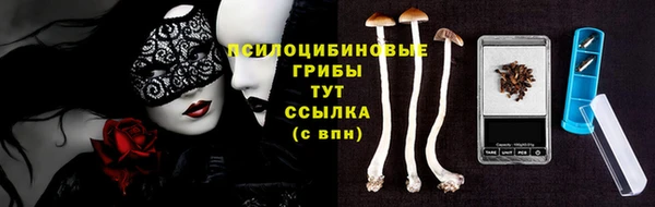 хмурый Белокуриха