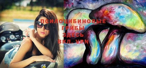 хмурый Белокуриха