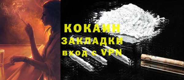 прущие грибы Баксан