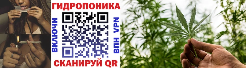 Марихуана Bruce Banner  Кукмор 